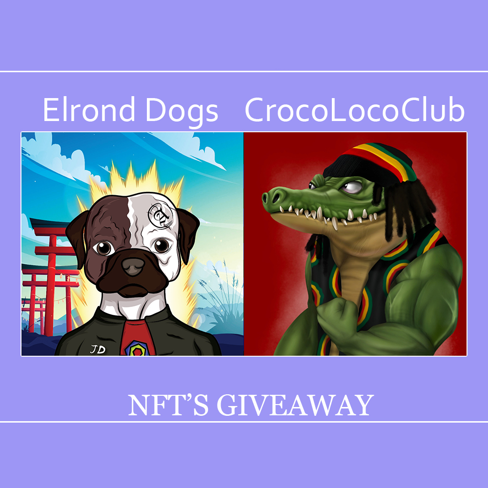 Elrond Dogs tweet media