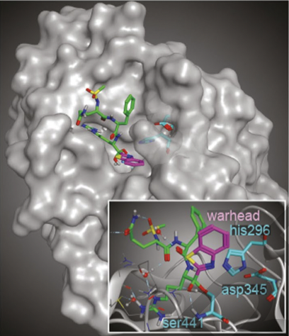 Paxlovid is a virus-directed pill, highly effective independent of variants.
Now a pill that is host-directed, against the TMPRSS 2 receptor, also pan-#SARSCov2, with much potential, including as a preventive Rx, <a href="/Nature/">nature</a> today
nature.com/articles/s4158…