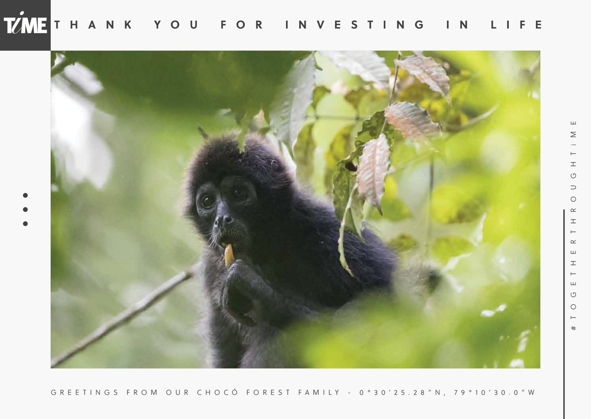 ThisisMyEarth's tweet photo. Il existe de nombreuses raisons pour lesquelles il vaut la peine de sauver la forêt du Chocó en 🇪🇨Equateur. Voici quelques-unes:

https://t.co/Bpe3f3WLhM

#TogetherThroughTiME 
#natureconservation
#ecologie #biodiversité
[1/15]🔰 https://t.co/mAOAqAf7Gc