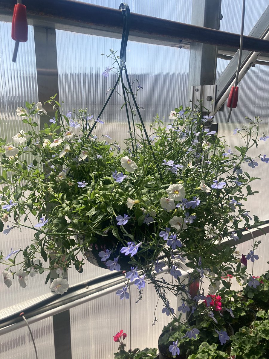 LoganRogersvilleFFA tweet media