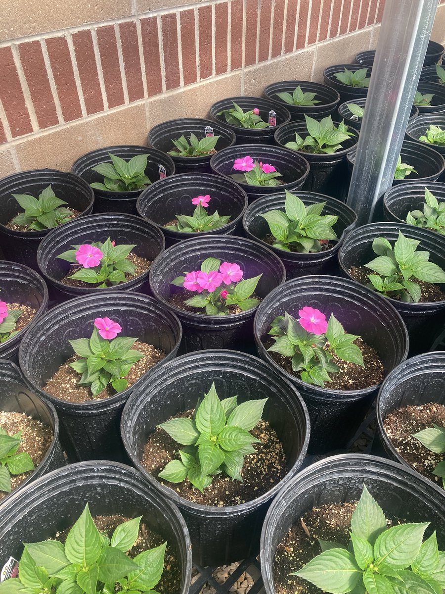 LoganRogersvilleFFA tweet media