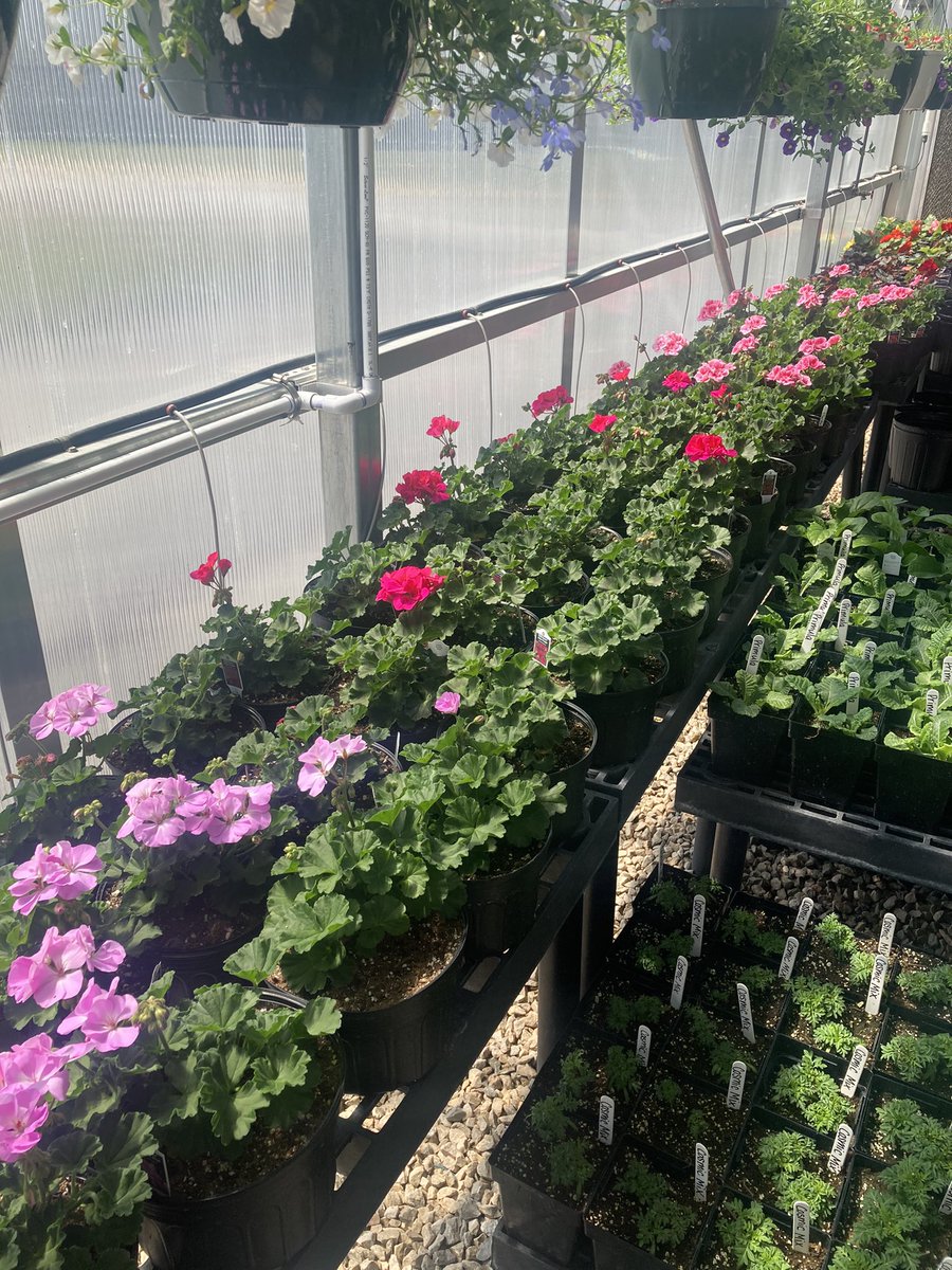 LoganRogersvilleFFA tweet media