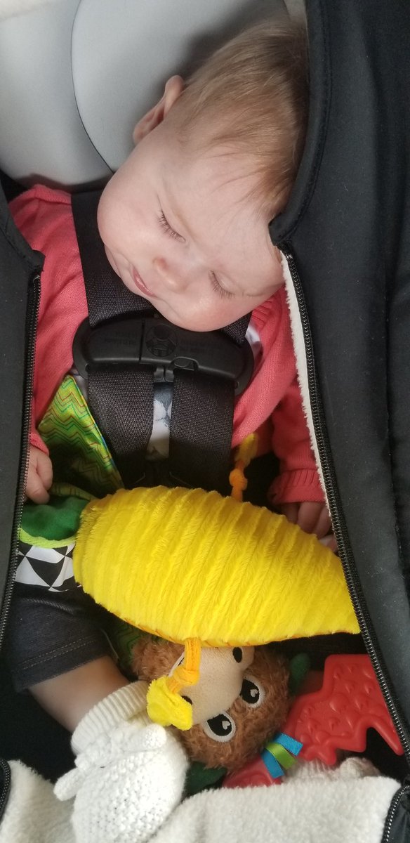 It's exhausting being adored and called cute by grade 2 &amp; 3 students all day.

Catch us with <a href="/cbccolleenjones/">ColleenJonescbc</a> on <a href="/CBCNews/">CBC News</a> tonight at 6pm!

<a href="/AITCCanada/">AITCCanada</a> #AgricultureInTheClassroom #NewToTheHerd