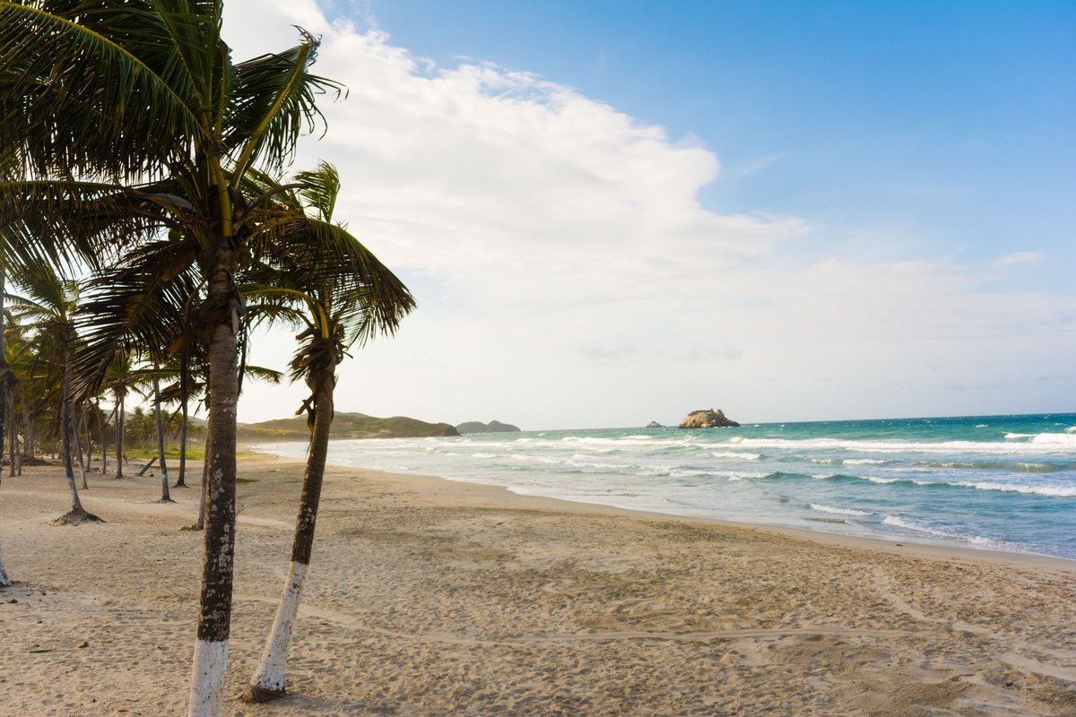 Lidotel Venezuela tweet media