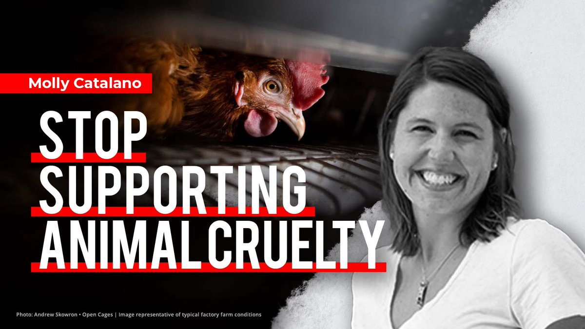 Alexandria Beck tweet media