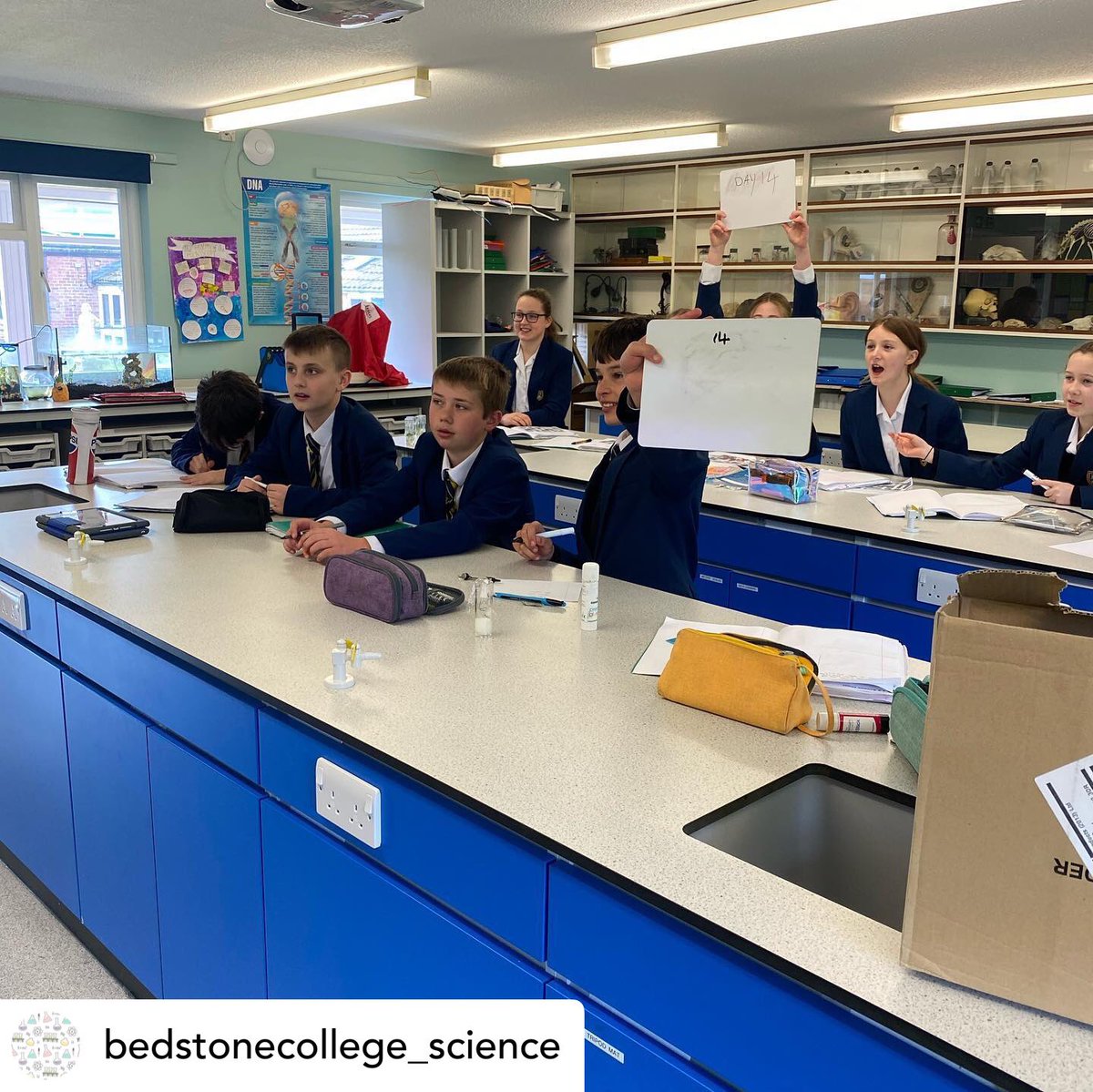 BedstoneCollege's tweet photo. @bedstonecollege_science Year 7 biologists had great fun taking part in the ‘who wants to be a millionaire’ end of topic quiz! #fun #interactive #teamwork #quiz #biology https://t.co/9wrqj46NDY
