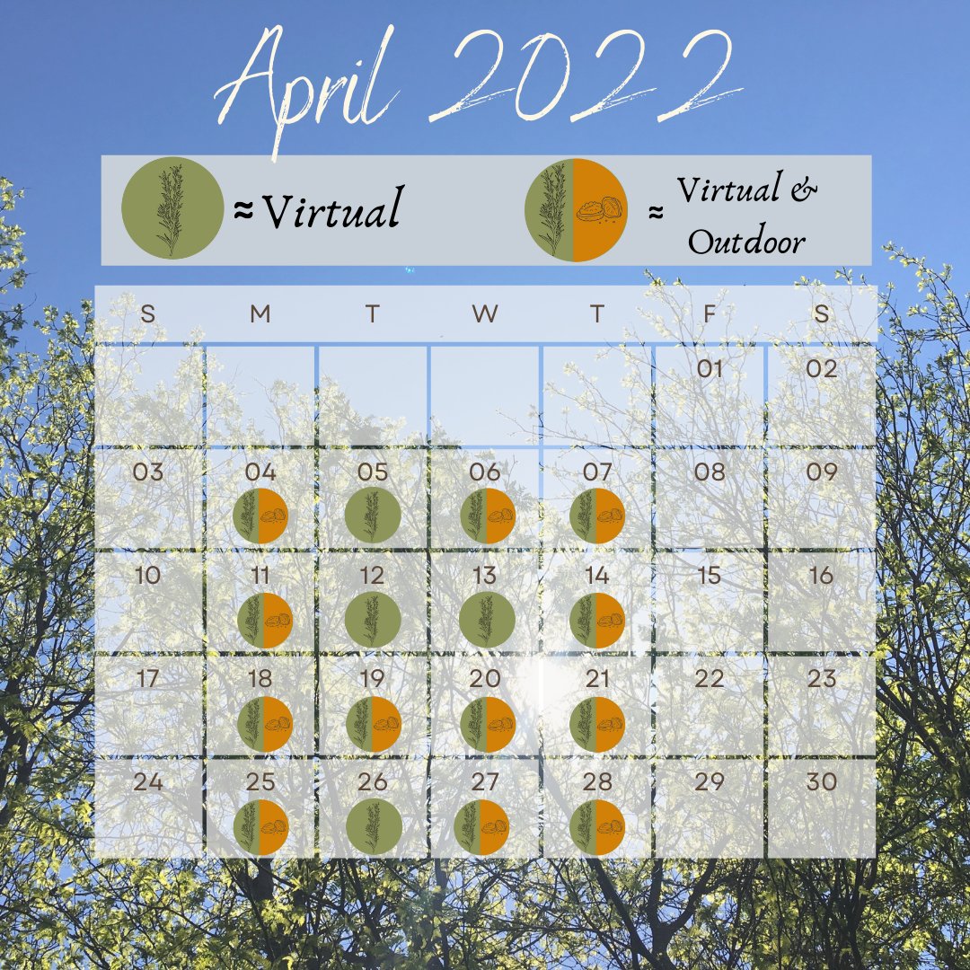 meganhad's tweet photo. 🤸 There are still a few available coupon offers for those who purchase a Virtual or Outdoor Coaching package before April 1st! 

👉 DM or email me to claim your 25% off package discount before April 1st! 

#outdoorcoaching #nbchwc #healthcoaching #naturebased #minneapolis https://t.co/fmvV67FKF3
