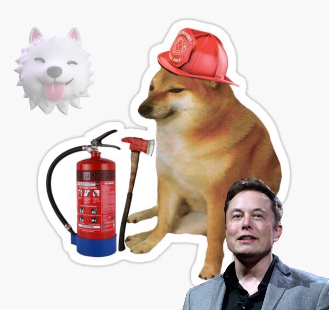 The first words of Elon Musk's son after birth were: "How do you like that, dad?"
#BSC #BSCGem #Doge #Dogecoin #Shibalnu #cripto #Binance #Coinbase #NFT #NFTs #Safemoon #Crypto #Saitama #CryptoNews #BabyDoge #100xGem #BSCGem #Bitcoin # $SAITA #memecoin #BNB