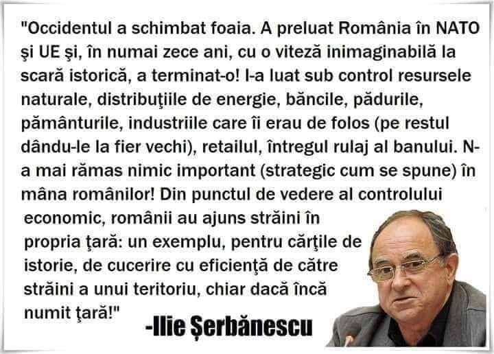 sorinnicola (@alocin96983806) on Twitter photo 