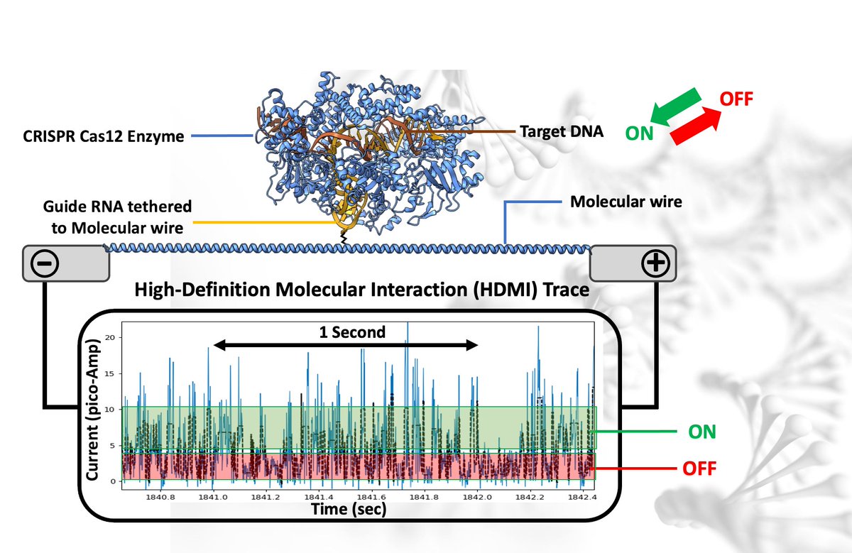 Roswell Biotechnologies tweet media