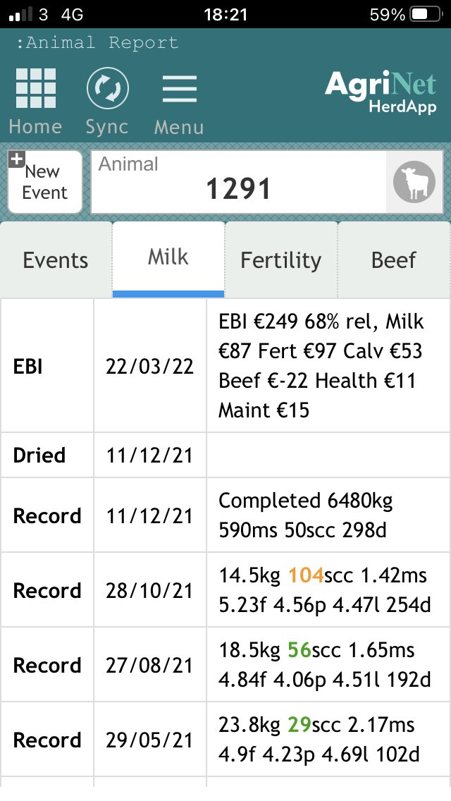 With breeding coming up very soon … I will profile a couple of nice cows  for those that may be interested … today’s cow is 1291…a freshly calved 5 th lact by PSQ whom I’m not overly fond of tbh… she spat out a nice FSZ bull calf 💪🏻💪🏻💪🏻