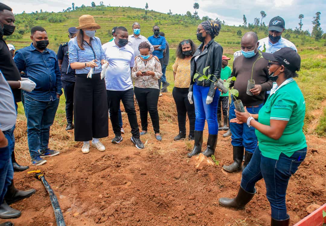 AfrifoodsRw's tweet photo. #Today we were privileged to take part in a visit that showcased the accomplishments of our partners “Cooperative Jyambere Muhinzi” and also witnessed the launch of a passion fruit farm in @NyanzaDistrict (Nyanza 23 site) through @SAIP_SAPMP’s support. 

Proud Partners! #RwOT https://t.co/VMnkUJF3Oc