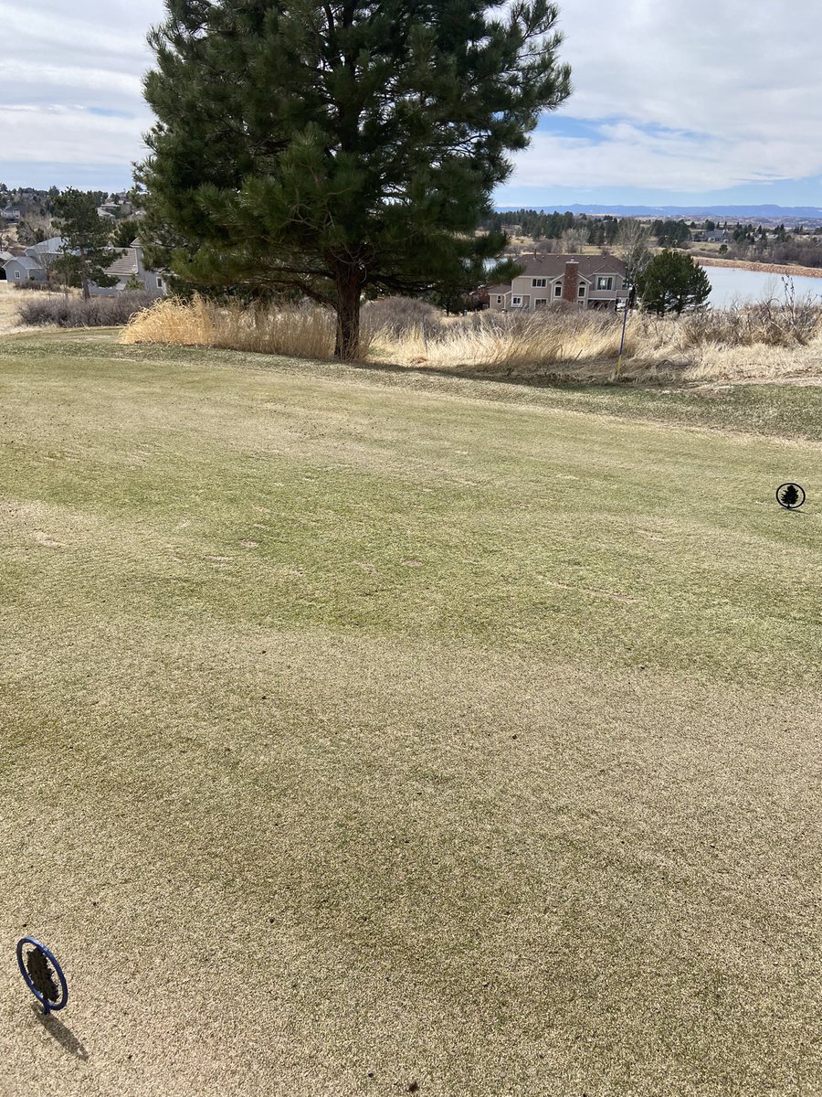 pinerygcm's tweet photo. Tee Aerification going smooth today.  We should have 30 of 45 holes done between the two clubs by end of day. Rain and snow in forecast for tomorrow. https://t.co/ZHuIOBO1iZ