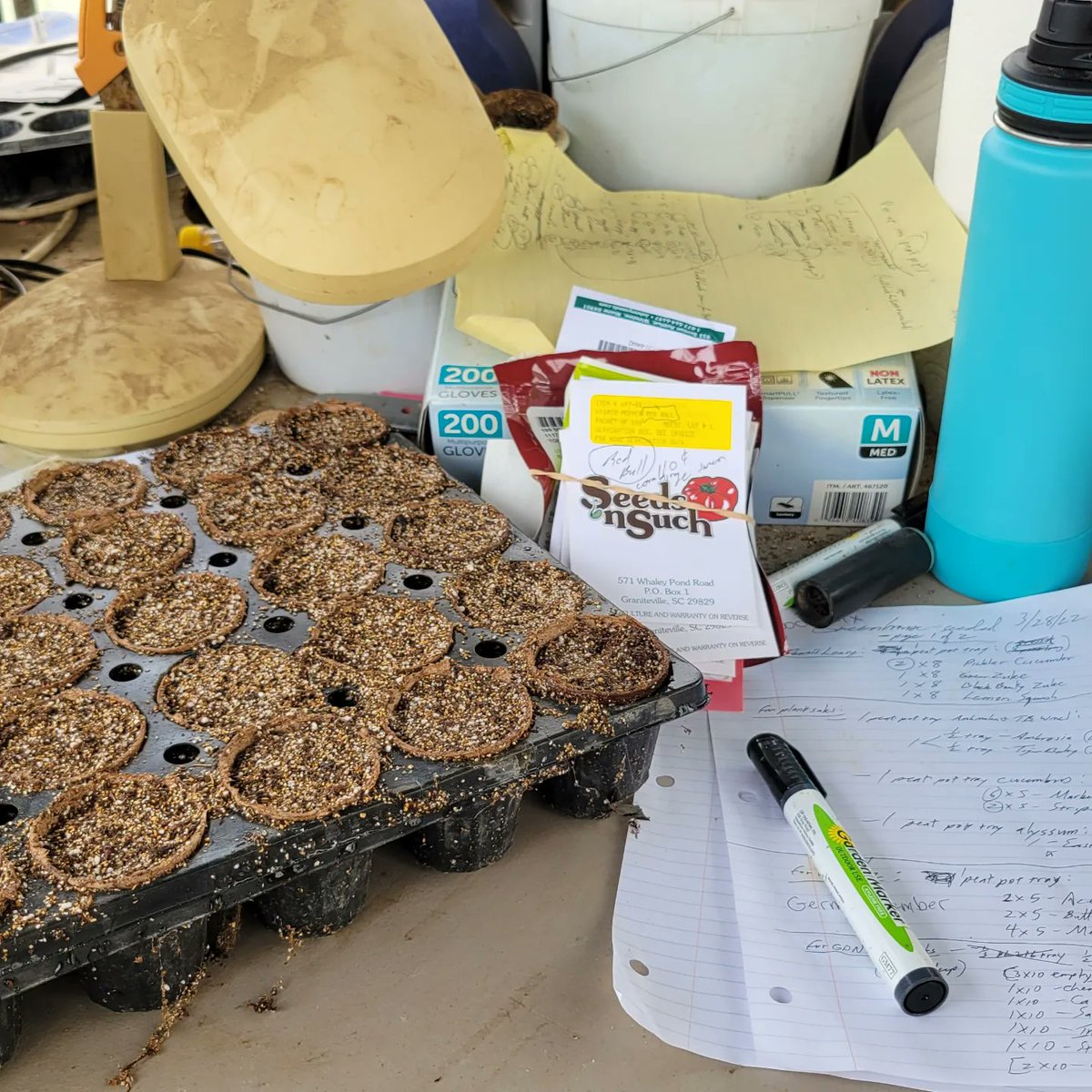 psgorganic's tweet photo. Favorite rainy day greenhouse chore. https://t.co/Mok0FMqd03