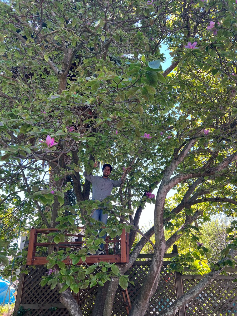 The Whiteman Lab tweet media