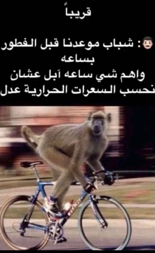 قريبا في رمضان