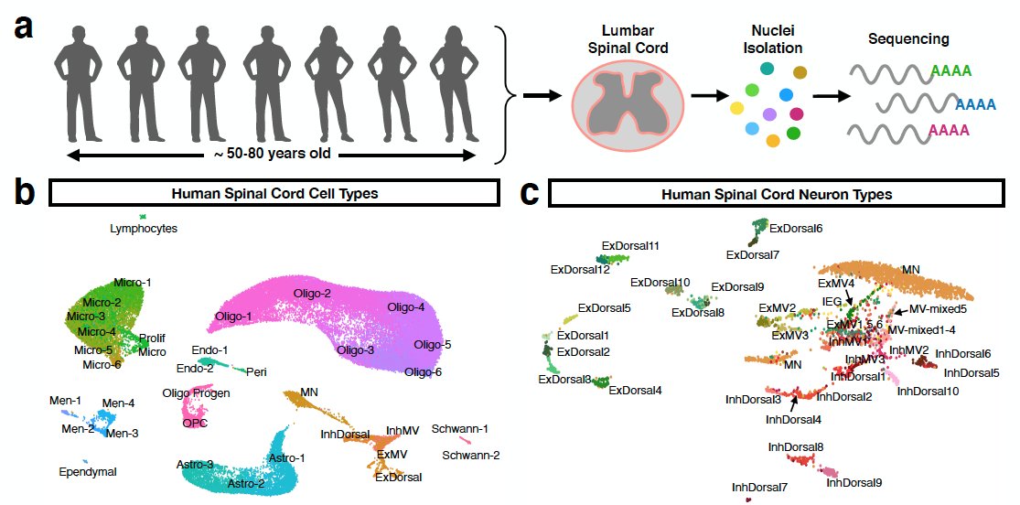 Kaya Matson tweet media