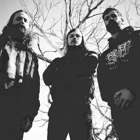 Wolf King tweet media