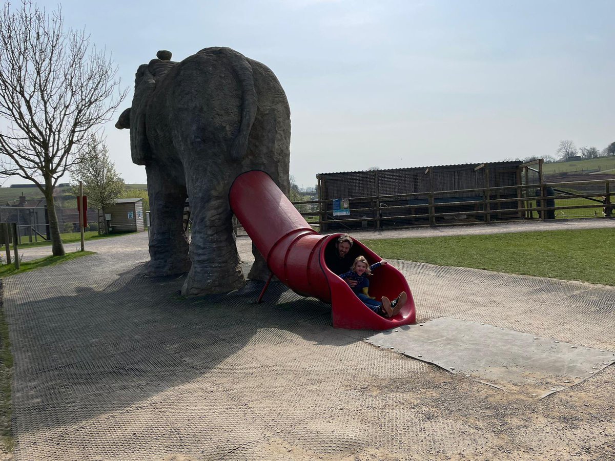It was my birthday today and I went down a slide coming out of an elephants arse. How’s your day going?