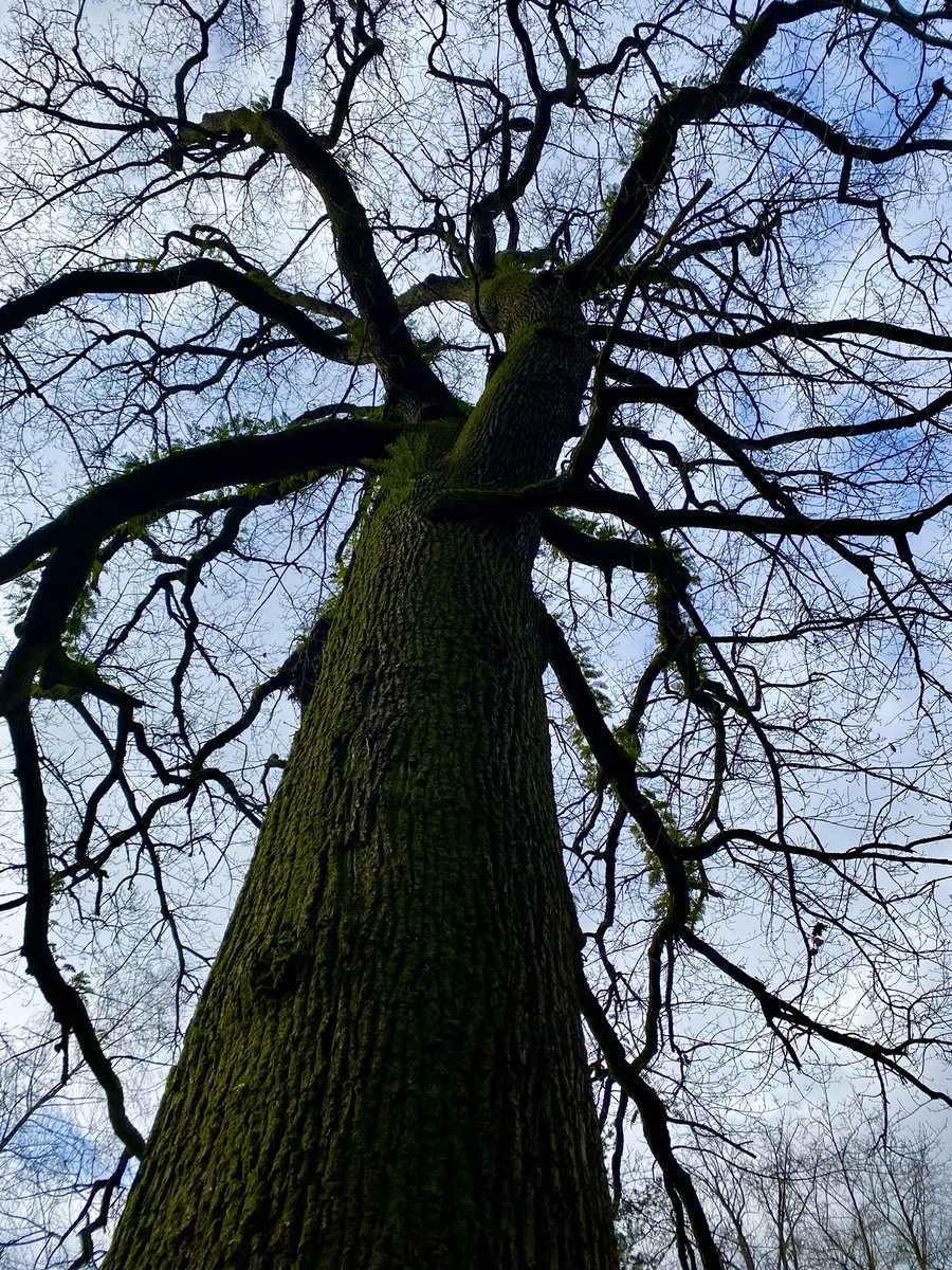 TConnectionSp's tweet image. Last ‘Stay in Touch’ session (over winter) before returning back to supported volunteering at The Wild Thyme Garden, #Matlock. 

It’s good to stay in touch. River walk and cafe stop at Restoration Cafe at The Grand Pavilion #Matlock Bath @OTherapistMH