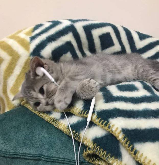 Kanka biliyorsun böyle şeyler beni üzmez