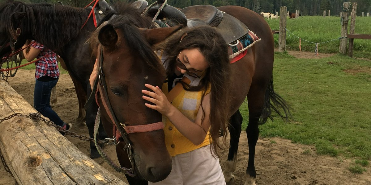 YMCAExchanges's tweet photo. Join the YMCA Summer Work Student Exchange #SWSE program this summer! Feed your love of adventure and animals by going horseback riding as this exchange group did last summer. To find out more and apply visit https://t.co/lH5eWkLsa8 #SWSERewind https://t.co/661f2vZRZj
