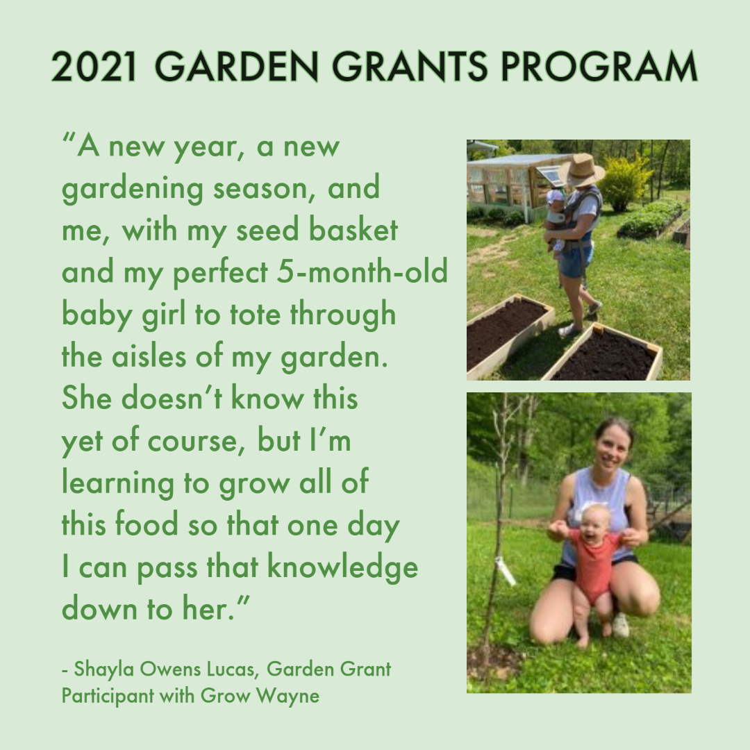 Click here to view the full report reflecting on 2021: 
ow.ly/CWQY50IugWn

#growappalachia #bereacollege #gardengrants <a href="/bereacollege/">Berea College</a>