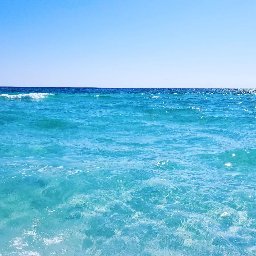 South Walton tweet media