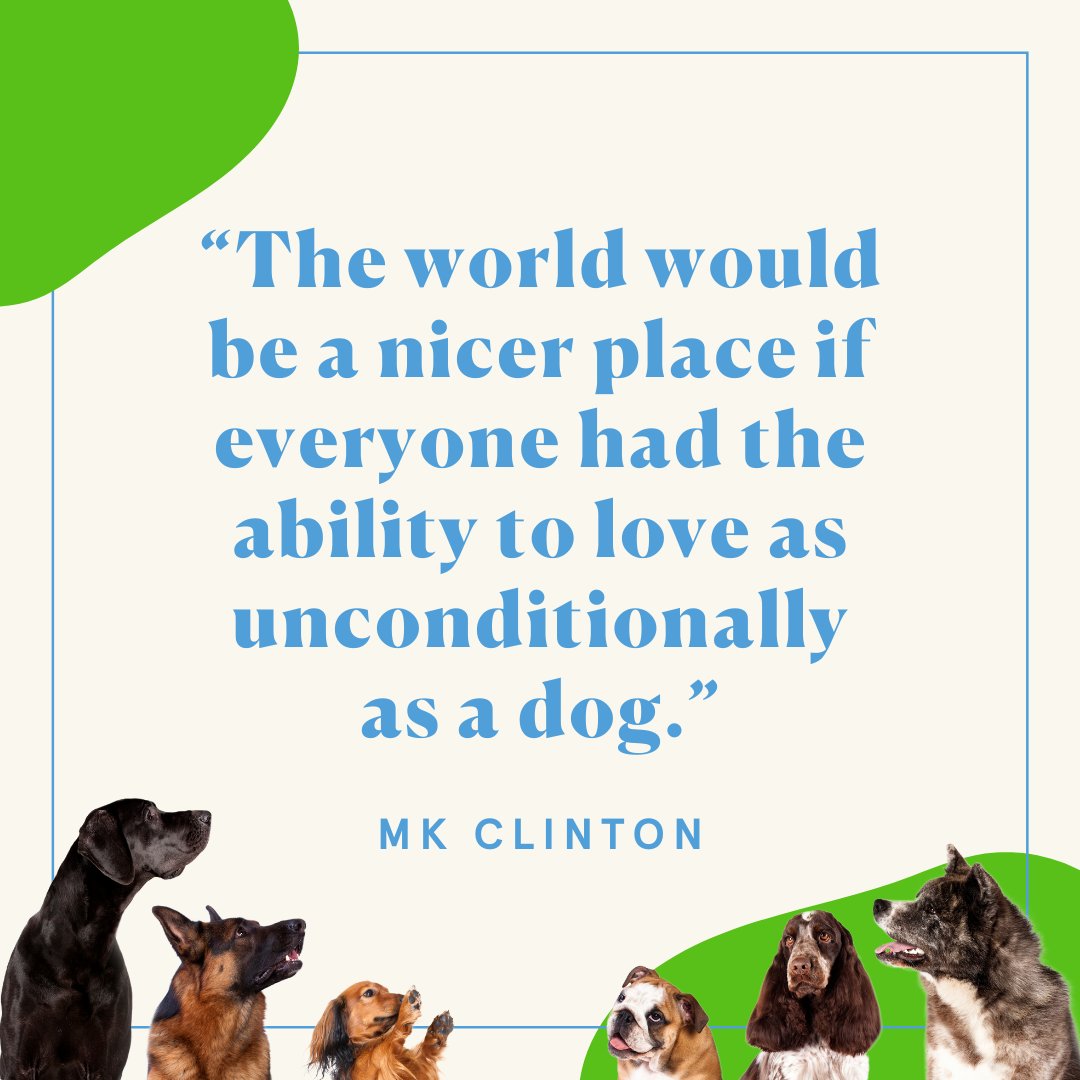 CleanBowlClub's tweet image. 