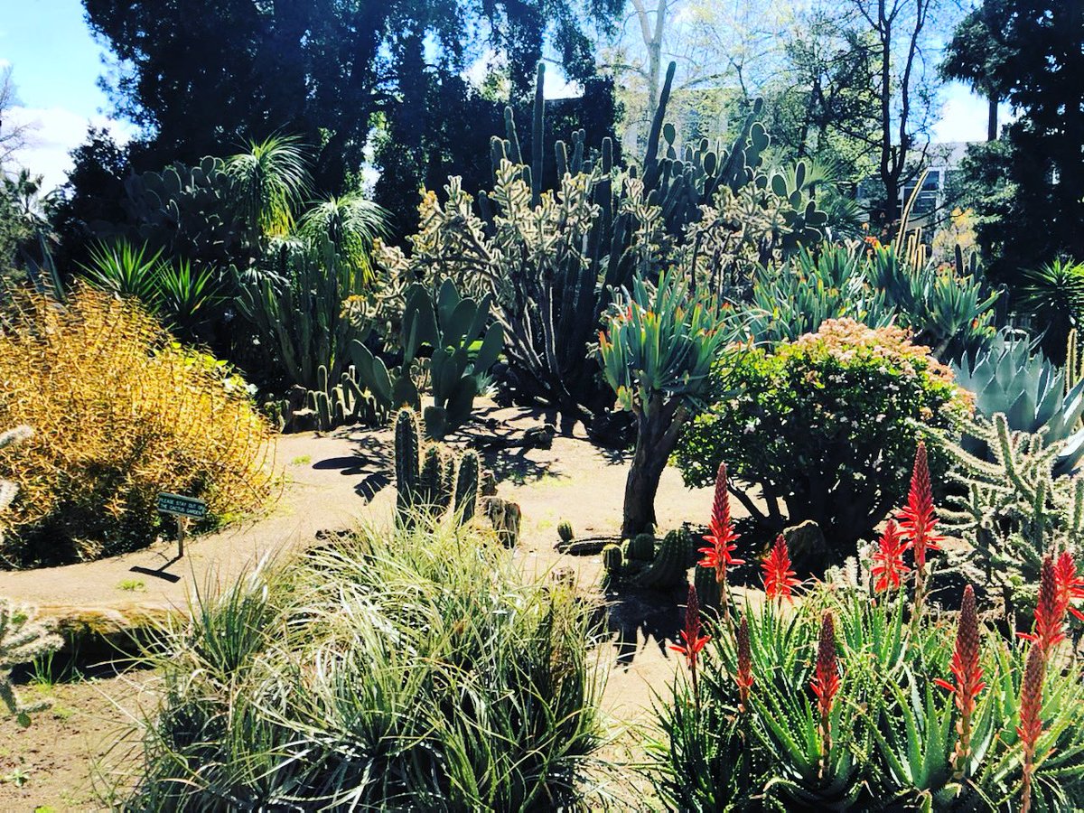California State Capitol Building tweet media