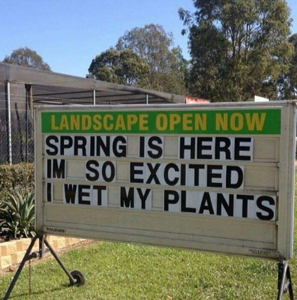 ValorGutter's tweet photo. Keep those plants out of your gutters! https://t.co/lOvnCfMwEb