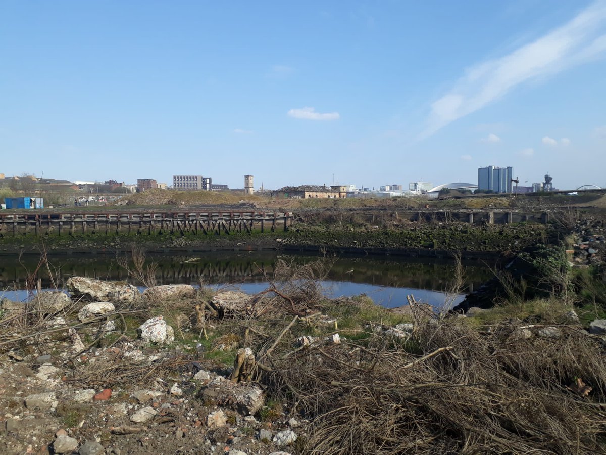 NathanSalvidge's tweet photo. Thanks to the team at @Glasgow_BG for showing students around the Govan Wetland Project today. Great to learn about the project! @mikegoodman56 @wylie_adele @UniRdg_GES #GESstirling2022 https://t.co/XWvwpMLsOx