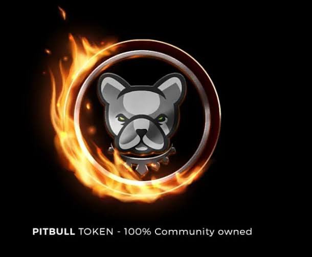 #pitbulltoken #doge 👀 29 MART