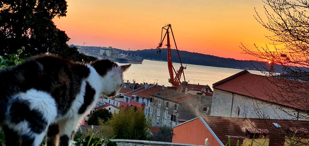 ElisLovric's tweet photo. Pogled na grad 🌇
#Catview #sunsets https://t.co/awjL7CvtQl