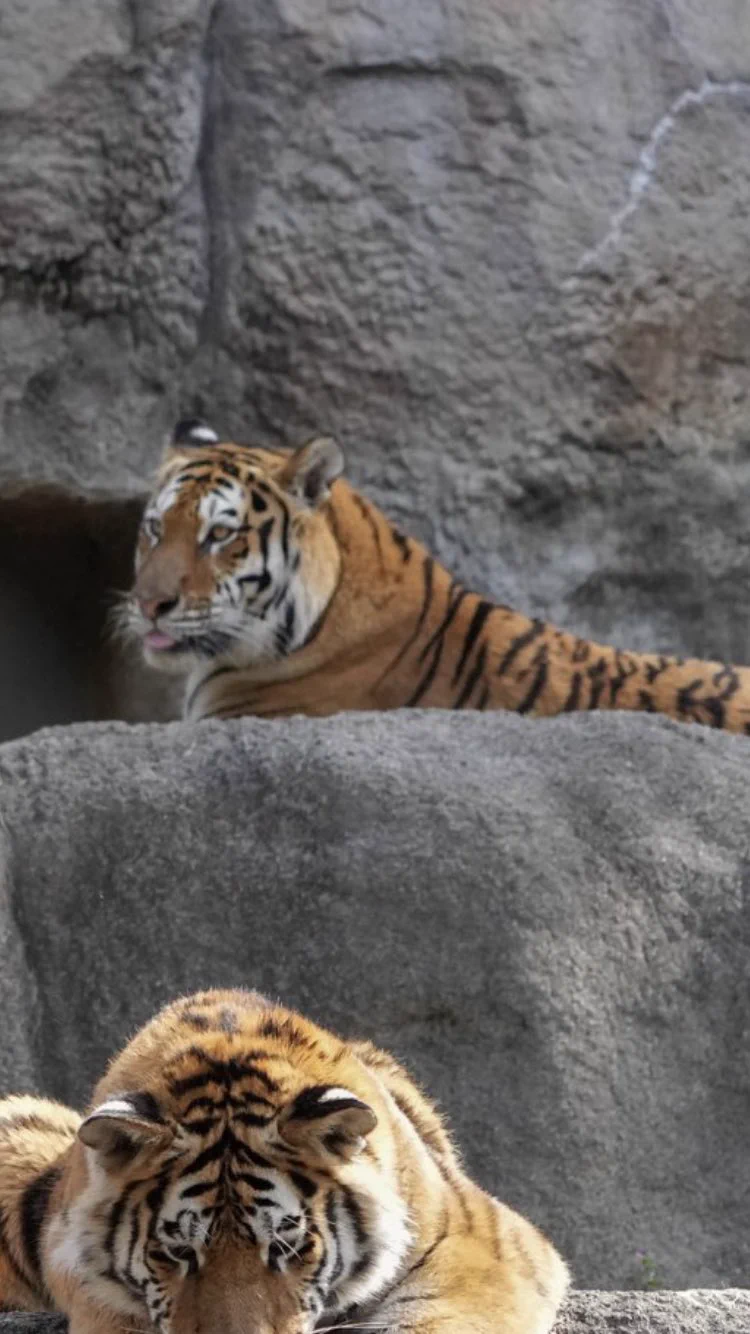 @rikunow 「へッ 馬鹿ばっかだぜ！」 