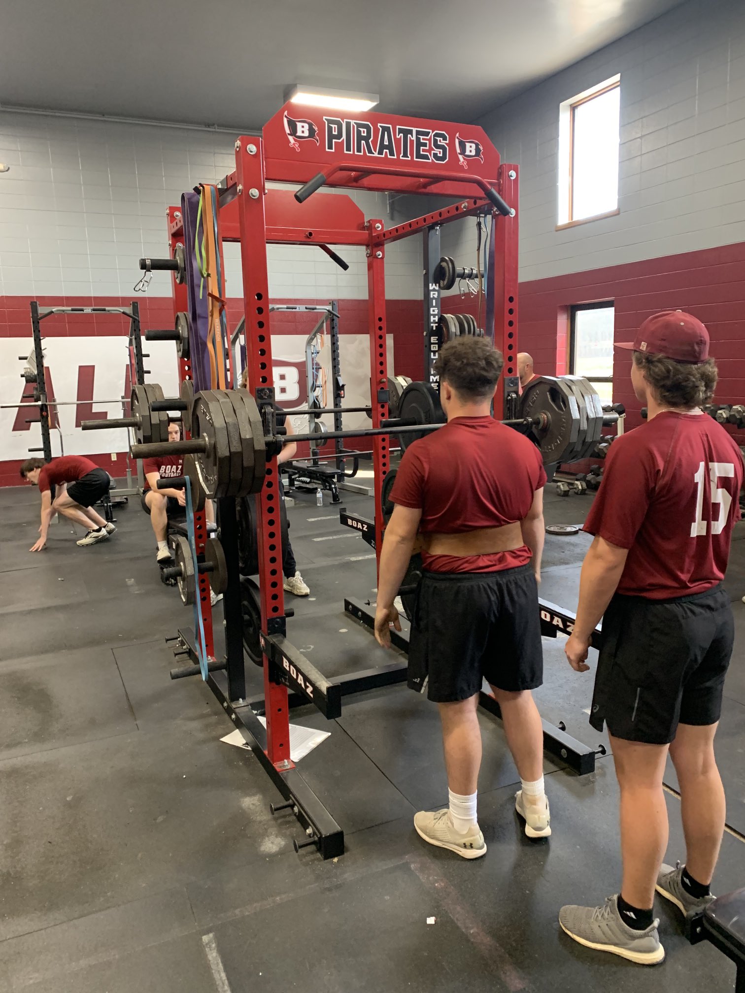 Top 139+ Animal house gym