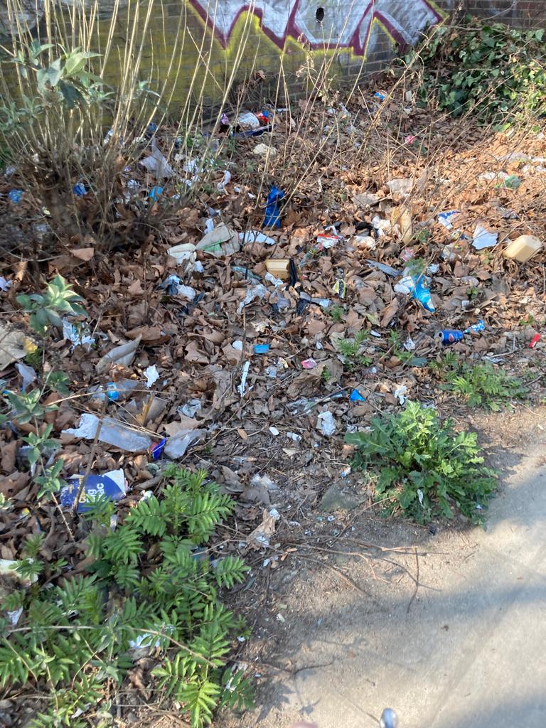 Can pple help spread the word as this needs sorting. This is the canal along the A12 at the end of Wrexham Rd, E London. Apparently it's always like this <a href="/TowerHamletsNow/">Tower Hamlets Council</a> (council) pls do something as it's all going to end up in the water. The bins that are there are overflowing.