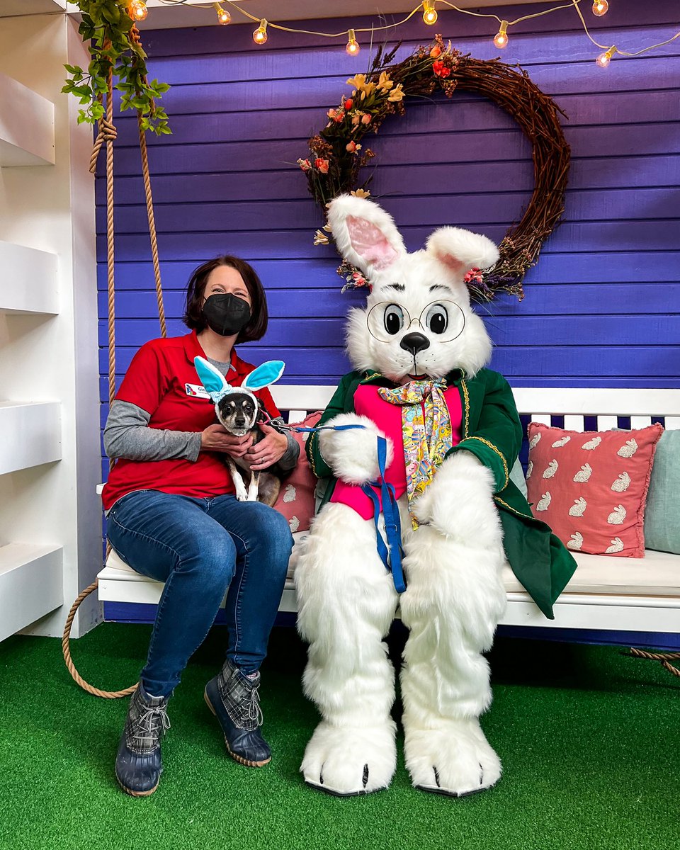 Springfield Town Center tweet media