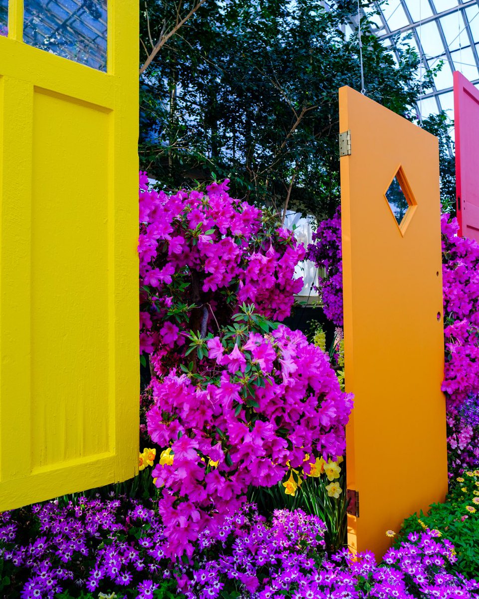 pepeinfocus's tweet photo. Even when the temperatures have dropped once again, the temperature at the @gpconservatory still warm and cozy 
•
•
•
#pinkdoor #SpringIsInTheAir #springcolors #artofchi #colordoors #chicagospring #Spring #Chicago https://t.co/xxPigbvyhk