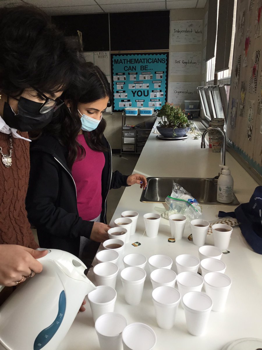 MsCherutti's tweet photo. Last week to start Nowruz on a high note, we read The Significant Seven by @ArmitaBrown, participated in a breakout room activity to learn about Nowruz and even had traditional Persian tea which was brought in by one of my students! https://t.co/IX5Sy3CdyA