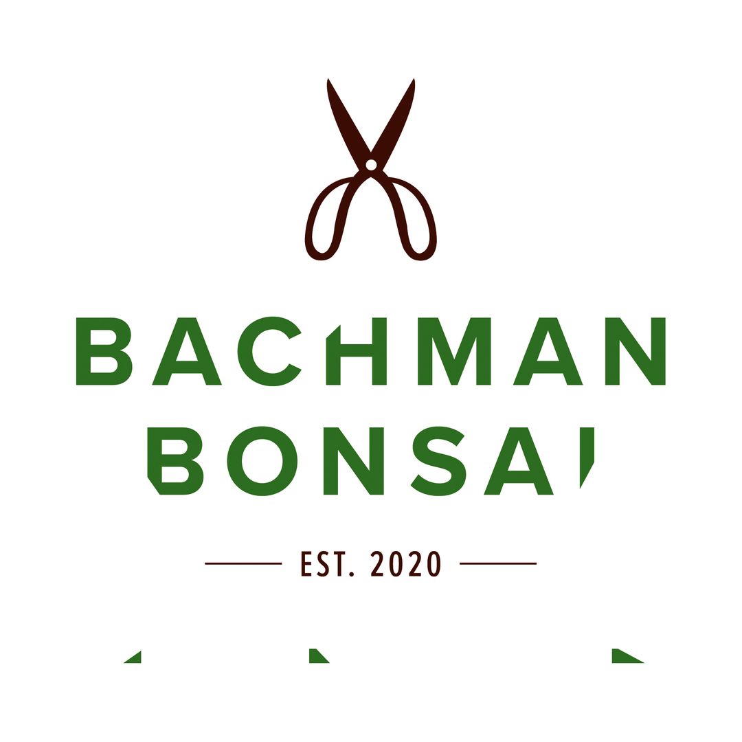 winkdesign's tweet photo. Logo for Bachman Bonsai. Cultivating bonsai trees takes careful consideration, attention to detail, and the right tools.
.
.
.
#branding
#chicagodesign
#graphicdesign
#artdirection
#creativedirection
#womenowned
#bonsai
#bonsaibranding
#bonsaicompany https://t.co/BrGuI15Nl5