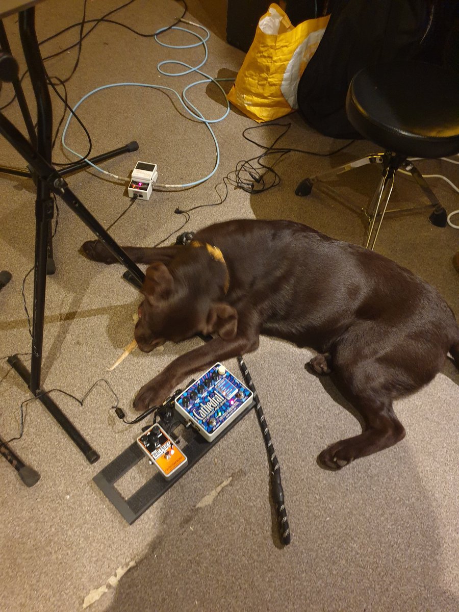 holyclang's tweet photo. New @holyclang  member 
#shoegaze #indie #alternative #postpunk #holyclang #dog https://t.co/CzvBgCCTz4
