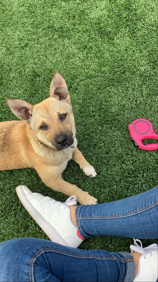 Kavuşacağımız güne kadar olduğun yerde kelebek kovala mocha balıııı 👼