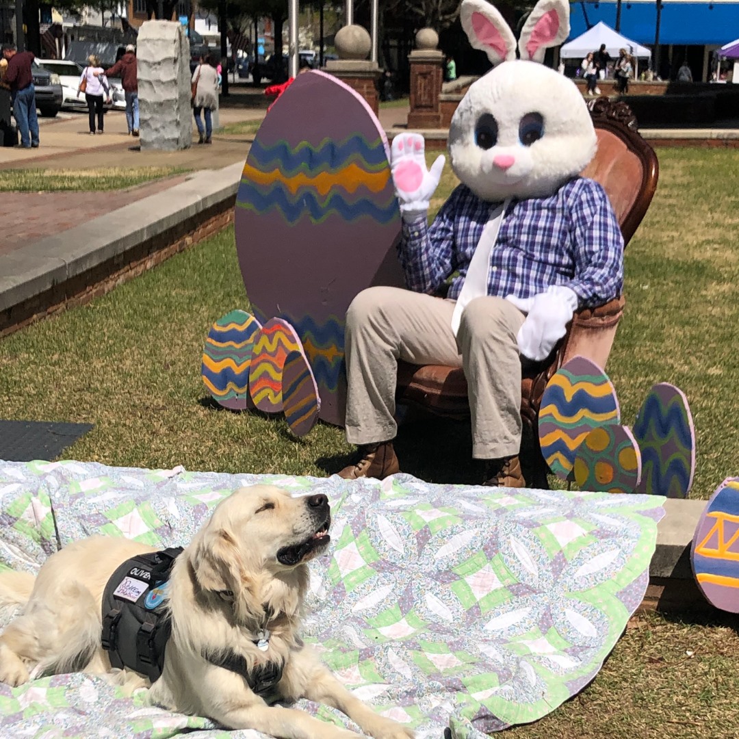 mainstreetga's tweet photo. Are you as happy as this pup 🐶 is that the Easter Bunny 🐰 is going to be visiting Market Day this Saturday?? Grab some[bunny] special and hop downtown to get your pics taken this Saturday, April 2nd from 10am-2pm! #mainstreetnewnan #dtnnwn #gamainst #natlmainst #gadowntowns https://t.co/7ZkFgiJHo8