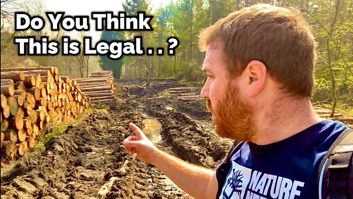 _JoelAshton's tweet image. Recently I discovered that my local woods, and more importantly, bird populations are under threat. Please take the time to watch this video I made and let me know if you think that @ForestryComm are breaking the law by disturbing nesting #birds
👇

youtu.be/xLqJ0eJvZ4c