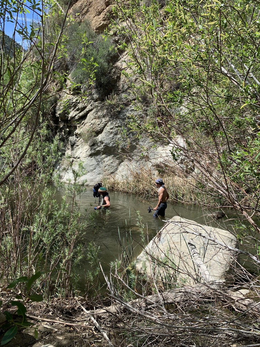 JonnyCash21's tweet photo. zion land https://t.co/PRlguhKJDa