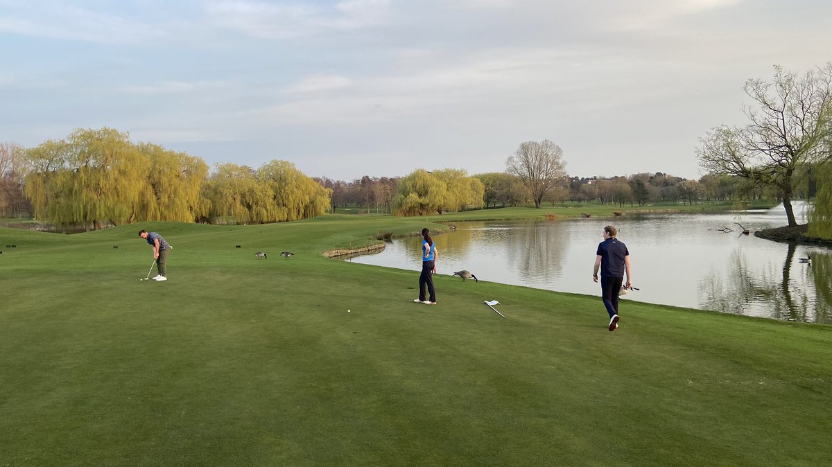 NeilWalkerBear's tweet photo. It’s that time of the year! Few holes after work! #Golf #SummerNights #Quick9 @TheBelfryHotel 🏌️♂️ ⛳️ https://t.co/cFAF39gG2E