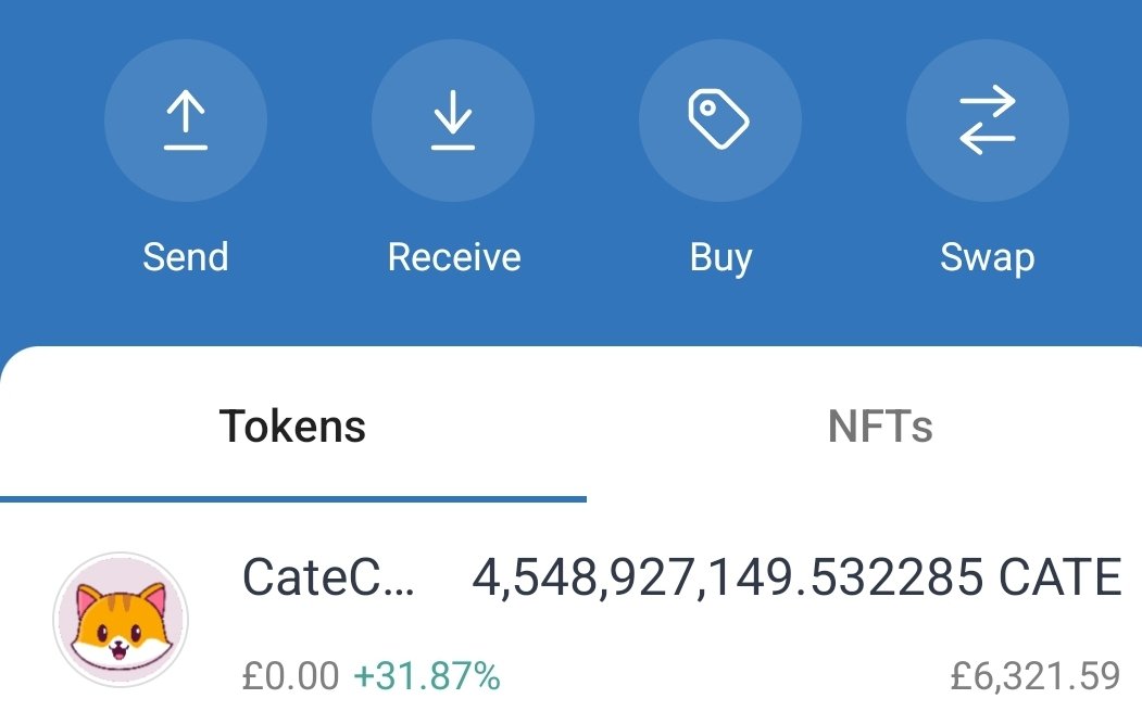 Let's goooo #catecoin 🚀