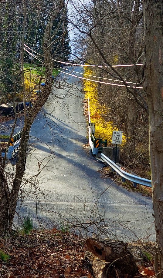 Robert Duffield tweet media