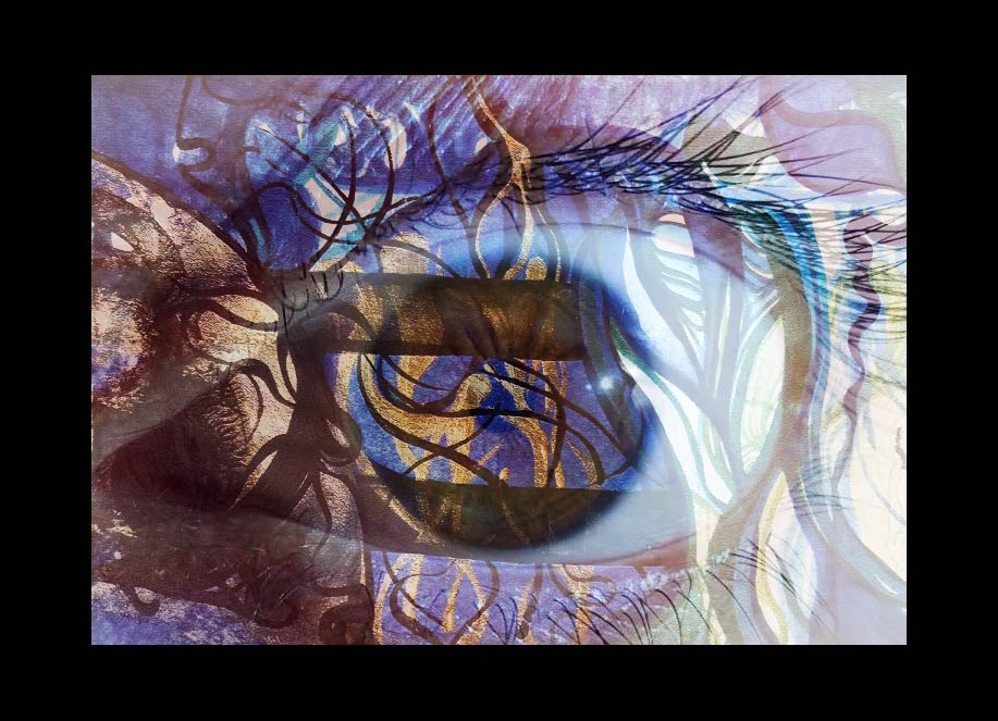 VeraVerbru tweet media